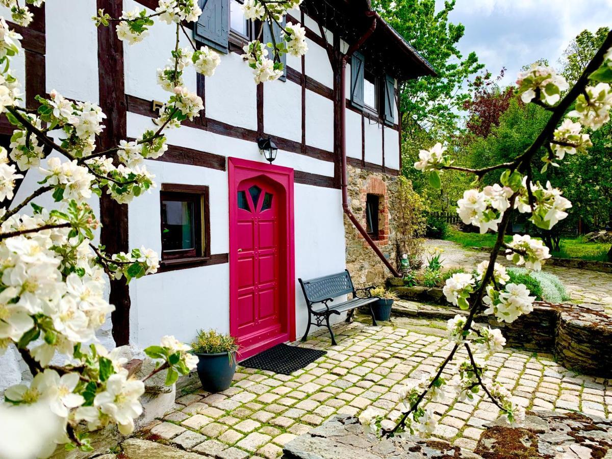 Villa Za Rozowymi Drzwiami Jelenia Góra Exterior foto