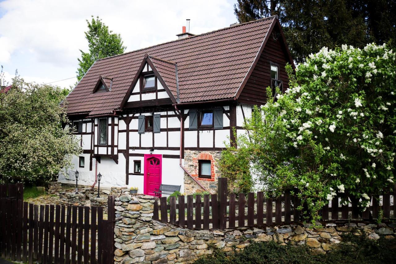Villa Za Rozowymi Drzwiami Jelenia Góra Exterior foto